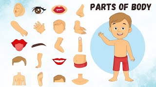 Learn Parts Of Body Name for Kids  English Vocabulary Lesson  Human Body Parts [upl. by Enilrae]