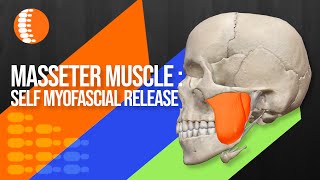 Self Myofascial Release of the Masseter muscle  Dr Notley Chiropractor Athletic Therapist Winnipeg [upl. by Vasos]