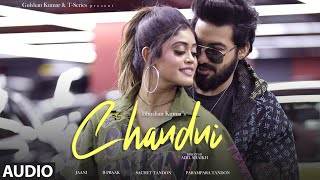 CHANDNI Audio Sachet Tandon Parampara Tandon  B Praak Jaani  Bhushan K [upl. by Aprile418]