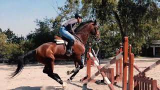 CUADRA A Saltando la Línea cuadruple entrenamiento rumbo a Rancho Salazar CORDOBES LS 🐴 [upl. by Narmis]