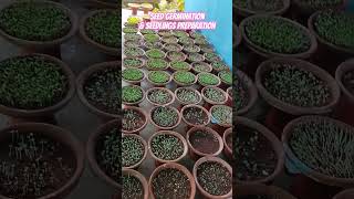 nature music seed germination soilless medium agriculture lover [upl. by Annayi320]