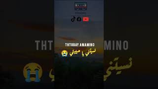 THROHAD OCHA THZWID  Music Rif 2024 Video Rif Music rifsong musicrif nadorcity [upl. by Nwahsauq81]