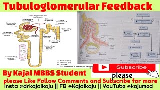 TUBULOGLOMERULAR FEEDBACK  MEDICALSTUDENT motivation medico paramedical trending nursing [upl. by Eliam]