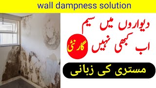 wall dampness solution by online mistry [upl. by Arytal]