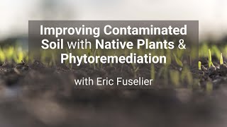 Improving Contaminated Soil with Native Plants amp Phytoremediation with Eric Fuselier [upl. by Trahern]