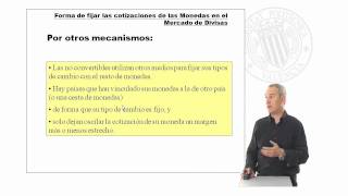 Formas de fijar las cotizaciones de las monedas en el Mercado de Divisas   UPV [upl. by Dianna]