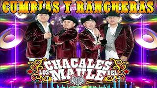 Los Chacales del Maule Exitos Mix 2024  Cumbias Rancheras Mix [upl. by Hedges]