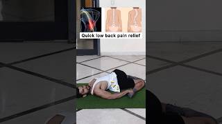 Quick Low back pain relief ✅ fitness gym lowbackpain backpain shorts [upl. by Yenffit432]