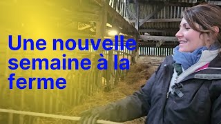 notre quotidien déleveurs 2 24 une nouvelle semaine à la ferme [upl. by Gromme577]