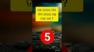 odia gk question and answer  odia dhaga odia gk quiz  ias aspirantshorts feed viral [upl. by Ilah182]