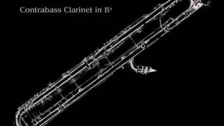 23 Clarinets  Clarinet Choir  Beelzebub  Solo for Contrabass Clarinet [upl. by Manvell]