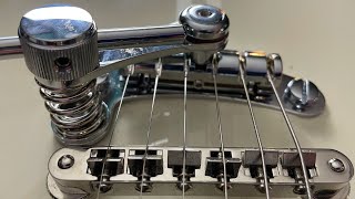 Amazon Tremolo as good as a Duesenberg Les Trem II [upl. by Adliwa]