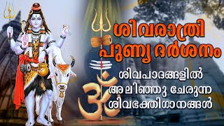 ശിവപാദങ്ങളിൽ അലിഞ്ഞുചേരുന്ന ഭക്തിഗാനങ്ങൾ  Shiva Songs Malayalam  Shivaratri Special Songs 2021 [upl. by Maggee]