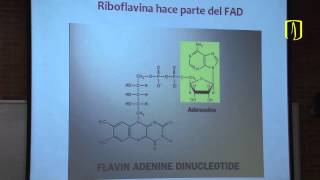 Vitaminas  Carlos Mendivil  Bioquímica Médica [upl. by Joan]