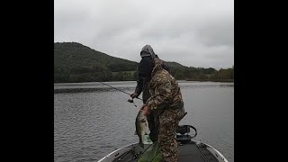 Giant Largemouth Rose Valley Lake PA Bass Tournament 92924 [upl. by Newg]