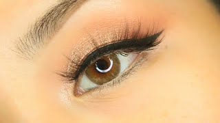 TTDEYE Natural Contacts TRINITY BROWN Contact Review amp Close Up Tutorial [upl. by Gaeta]