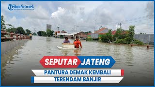 Banjir Pantura Demak Lagi di Perbatasan Kudus Warga Ngungsi di Kolong Jembatan [upl. by Ebba929]