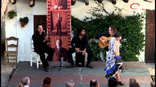 Matinales Flamencas en el Centro de Flamenco Fosforito  Fuensanta Blanco amp Cía [upl. by Orazal64]