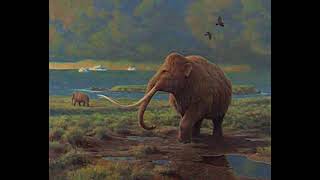 homenaje al mamut lanudo Octubre 23 mamut prehistoric halloween2024 viralvideo [upl. by Salisbury652]