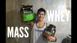 WHEY PROTEIN or MASS GAINER Tips for Beginner [upl. by Josselyn450]