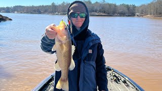 Wedowee Alabama Bass Fishing in February [upl. by Nivrehs624]