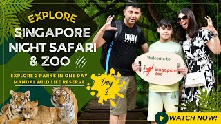 EP46 Explore Singapores Night Safari amp Zoo  Ultimate Guide amp Tips for Mandai Wildlife Reserve [upl. by Eimrots]