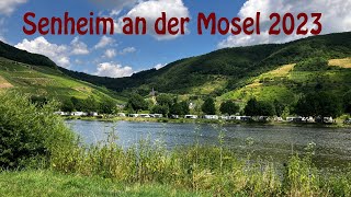 Mosel Holländischer Hof Senheim [upl. by Cade]