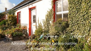 Adorable hidden cottage amp tree planting in County Clare ☘️ [upl. by Skipton]