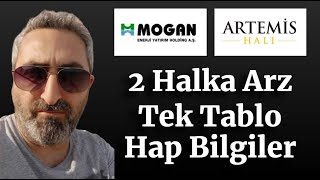 2 Halka Arz Tek Tablo Mogan Enerji mogan Artemis artms Halı Hap Bilgiler [upl. by Kurt]