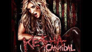 Kesha  Cannibal Remix [upl. by Brant]