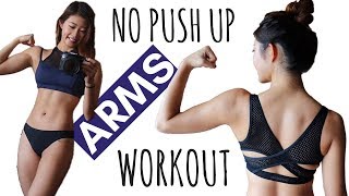 10 MIN LOSE ARM FAT NO PUSH UP Beginner Arms HIIT Workout at Home No Equipment [upl. by Cowey267]