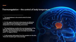 Chapter 141 Homeostasis  Thermoregulation [upl. by Abey79]