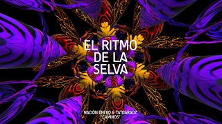 NACIÓN EKEKO  EL RITMO DE LA SELVA  Video Lyric [upl. by Sibelle]