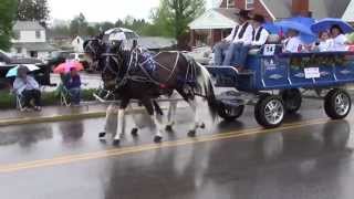 Horse amp Carriage Parade  2014 WV Strawberry Festival [upl. by Rutger]