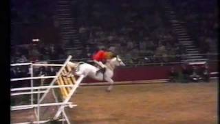 Nick Skelton on Lastic  Record jump on 232 m [upl. by Hieronymus]