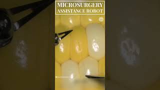 Microsurgery Assistance Robot Suturing a Corn Kernel with Tiny Suture shorts tech robot medical [upl. by Gareri]