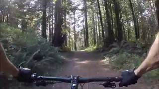 Most Beautiful Ride in SF Bay Area Olema Valley to Bolinas Ridge Trail [upl. by Annoynek]