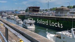 Ballard Locks  Seattle [upl. by Bullivant276]