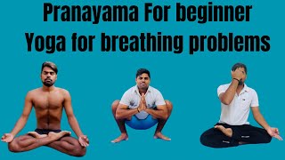 Pranayama Yoga yoga breathing exercises morning online yoga class [upl. by Gulgee529]