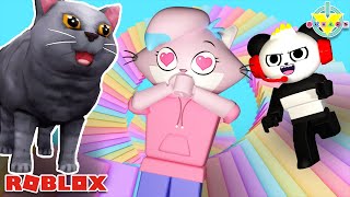 Roblox Obby but youre A CAT [upl. by Anne-Marie]