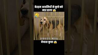 बेचारे कुत्ते को पिंजरे में बंद करके 😥  short dog movie cartoon part01 [upl. by Nilad]