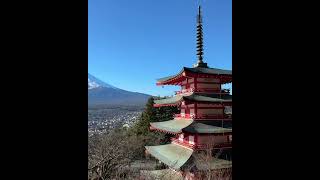 Arakura Fuji Sengen Shrine 🇯🇵 190cm [upl. by Feenah]