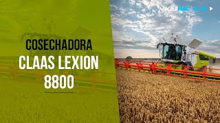 Cosechadora Claas Lexion 8800 [upl. by Brien757]