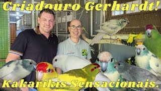 JÚNIOR GERHARDT ESPECIALISTA EM KAKARIKI [upl. by Allecsirp]