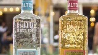 How Tequila is made at Pernod Ricards Altos and Olmeca distillery in Arandas Jalisco Mexico [upl. by Clementina211]