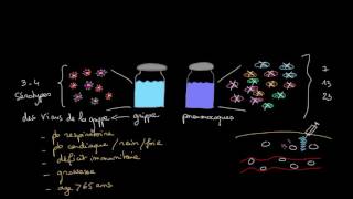 Vaccins contre la grippe et les pneumocoques [upl. by Elocel]