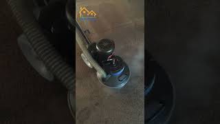 Clean Your Carpets LIKE a PRO in 2024  reels shorts [upl. by Namzzaj58]