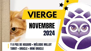 ♍️ VIERGE • NOVEMBRE 2024 • Y a pas de hasard 😉 • LE TAROSCOPE DU MOIS [upl. by Xena531]