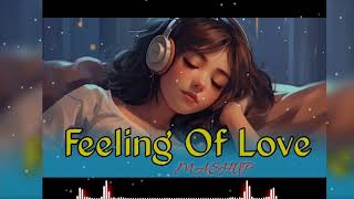 Tera Naam  New Hindi Love Song 2024 Showed And Reverb  New Hindi Love Songs 2024 Lofi [upl. by Remsen]