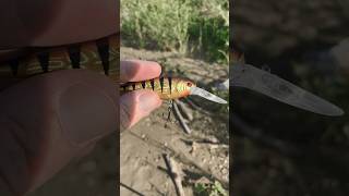 Crankbait Tuning  Hook Adjustment HowTo shorts fishing [upl. by Dietz]